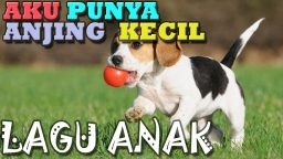 lirik lagu anak anjing kecil