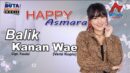 lirik lagu balik kanan wae happy