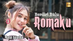 lirik lagu berdiri bulu romaku mala agatha