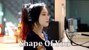 lirik lagu shape of you dan terjemahan