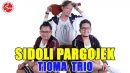 lirik lagu sidoli pargojek dan artinya