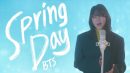 lirik lagu spring day bts dan terjemahannya