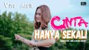 lirik lagu vita alvia cinta hany