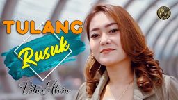 lirik lagu vita alvia tulang rus