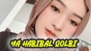 lirik lagu ya habibal qolbi