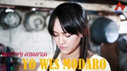 lirik lagu yo wes modaro happy a